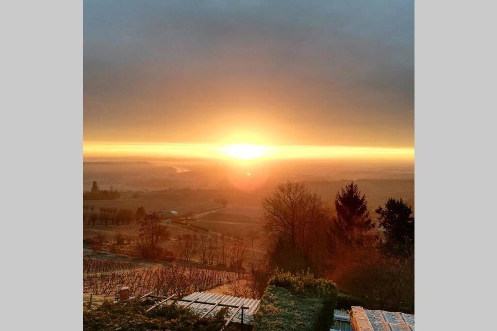 Vue Panoramique Sur Le Vignoble Lejlighed Sancerre Eksteriør billede
