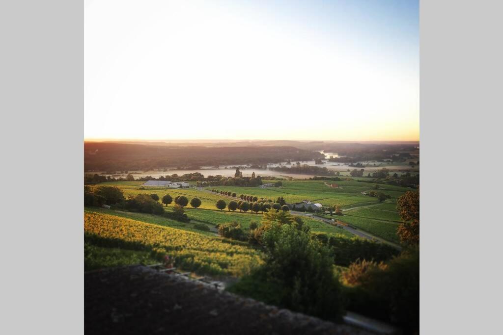 Vue Panoramique Sur Le Vignoble Lejlighed Sancerre Eksteriør billede