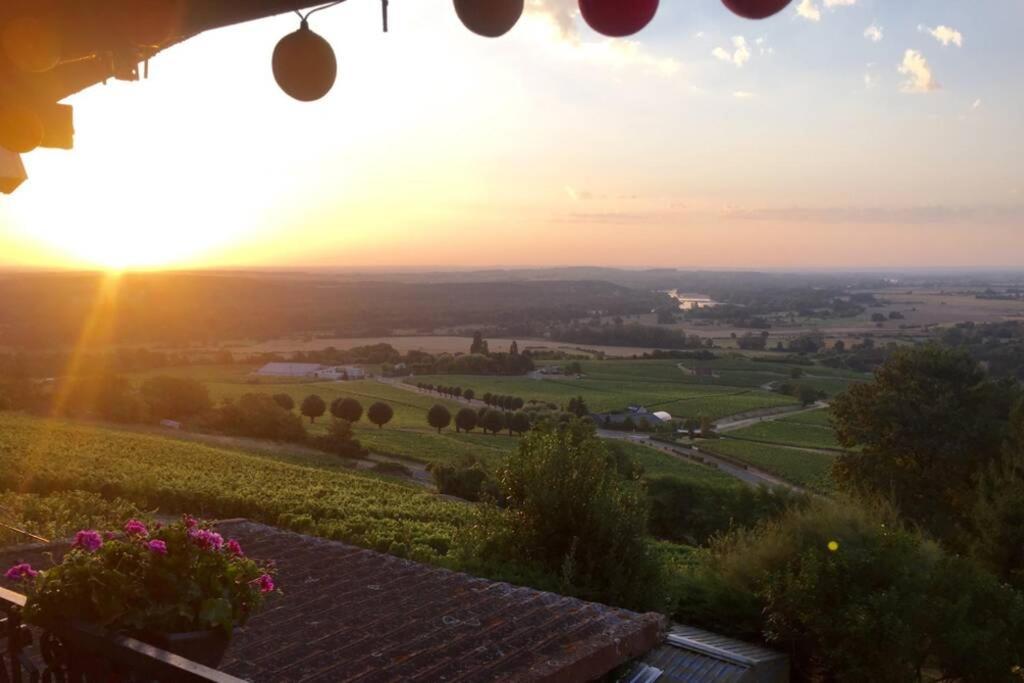 Vue Panoramique Sur Le Vignoble Lejlighed Sancerre Eksteriør billede