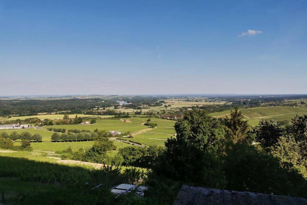Vue Panoramique Sur Le Vignoble Lejlighed Sancerre Eksteriør billede